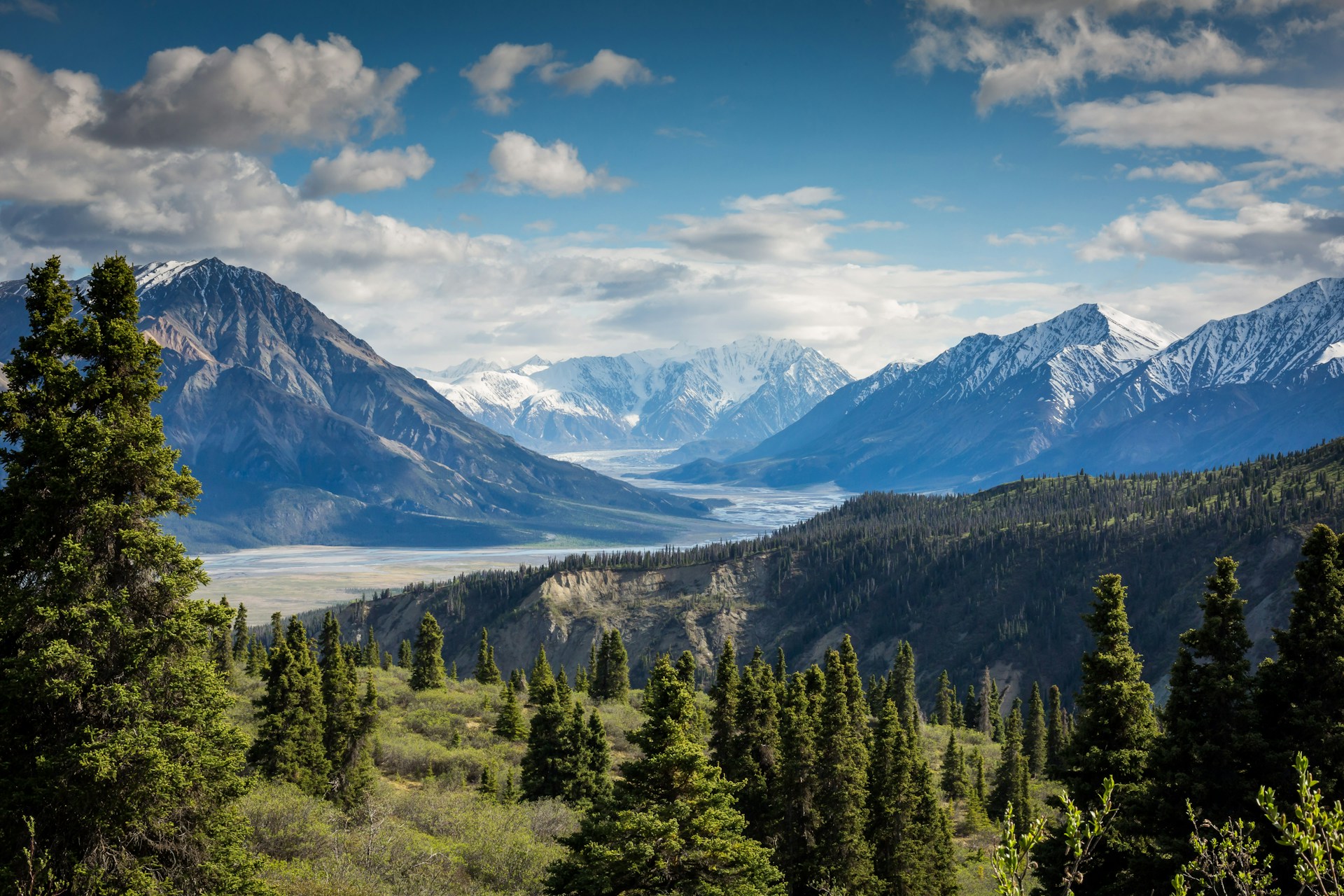Snowy mountain scenery with trees in the foreground
