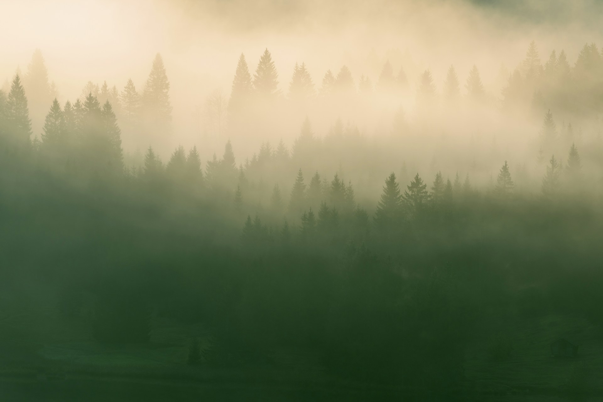 Eco-Friendly Travel Products for the Conscious Traveler