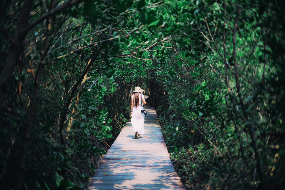 Eco-Friendly Travel Products for the Conscious Traveler