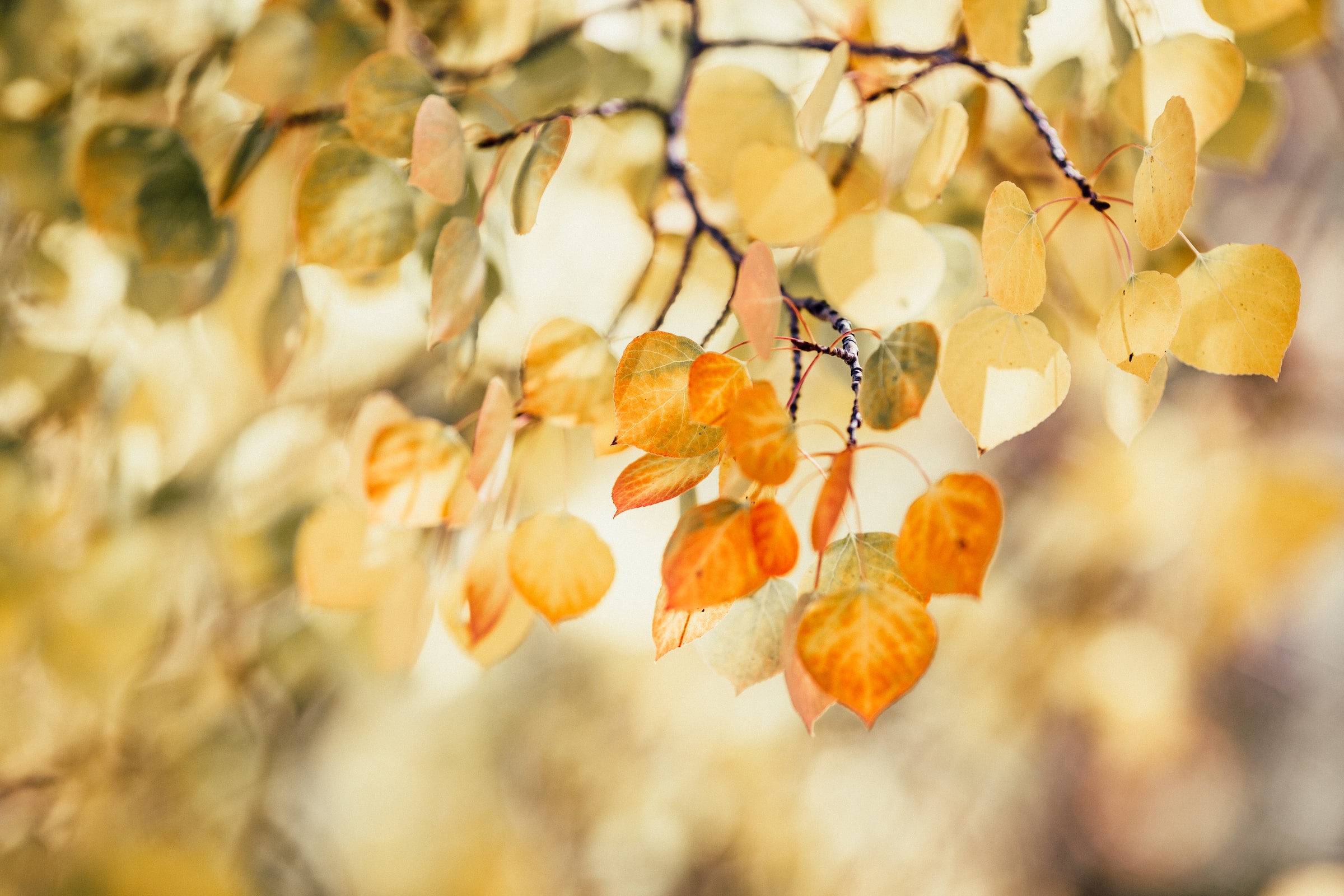 Why September is the Best Month to Travel