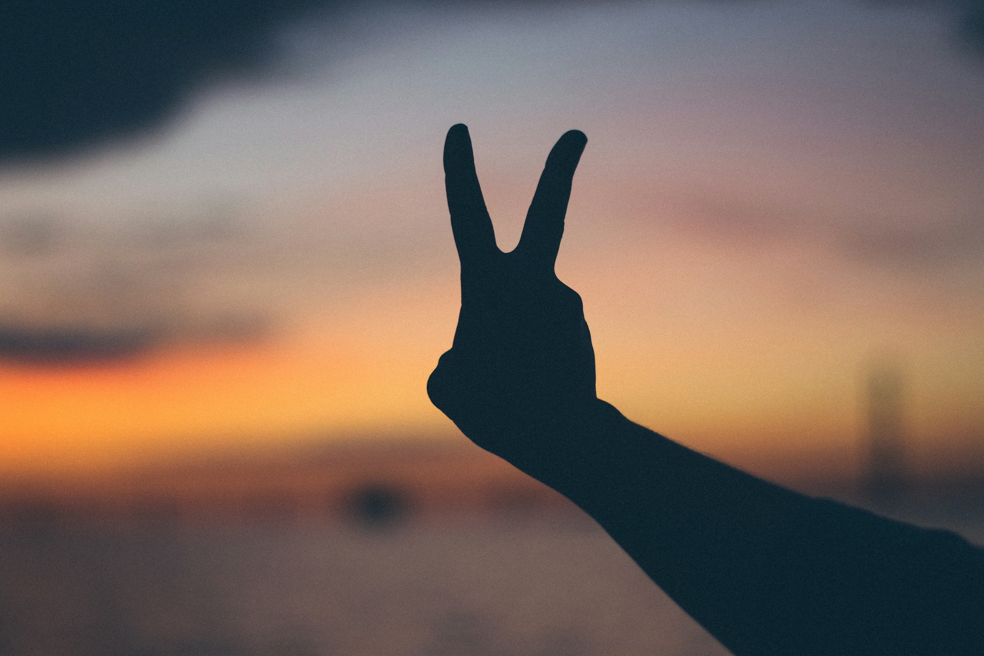 A hand making a peace sign