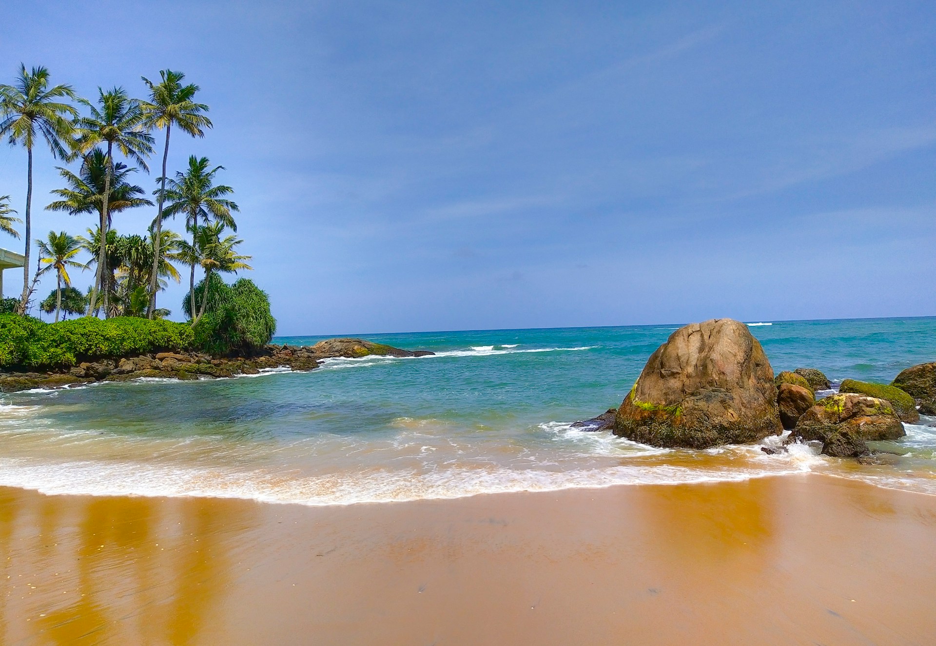 tropical trees and beach with tide coming in