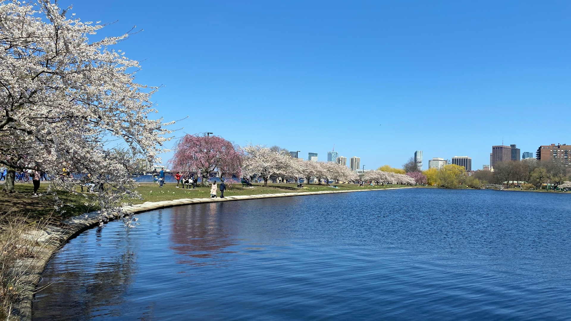 people walking on park near body of water during daytime