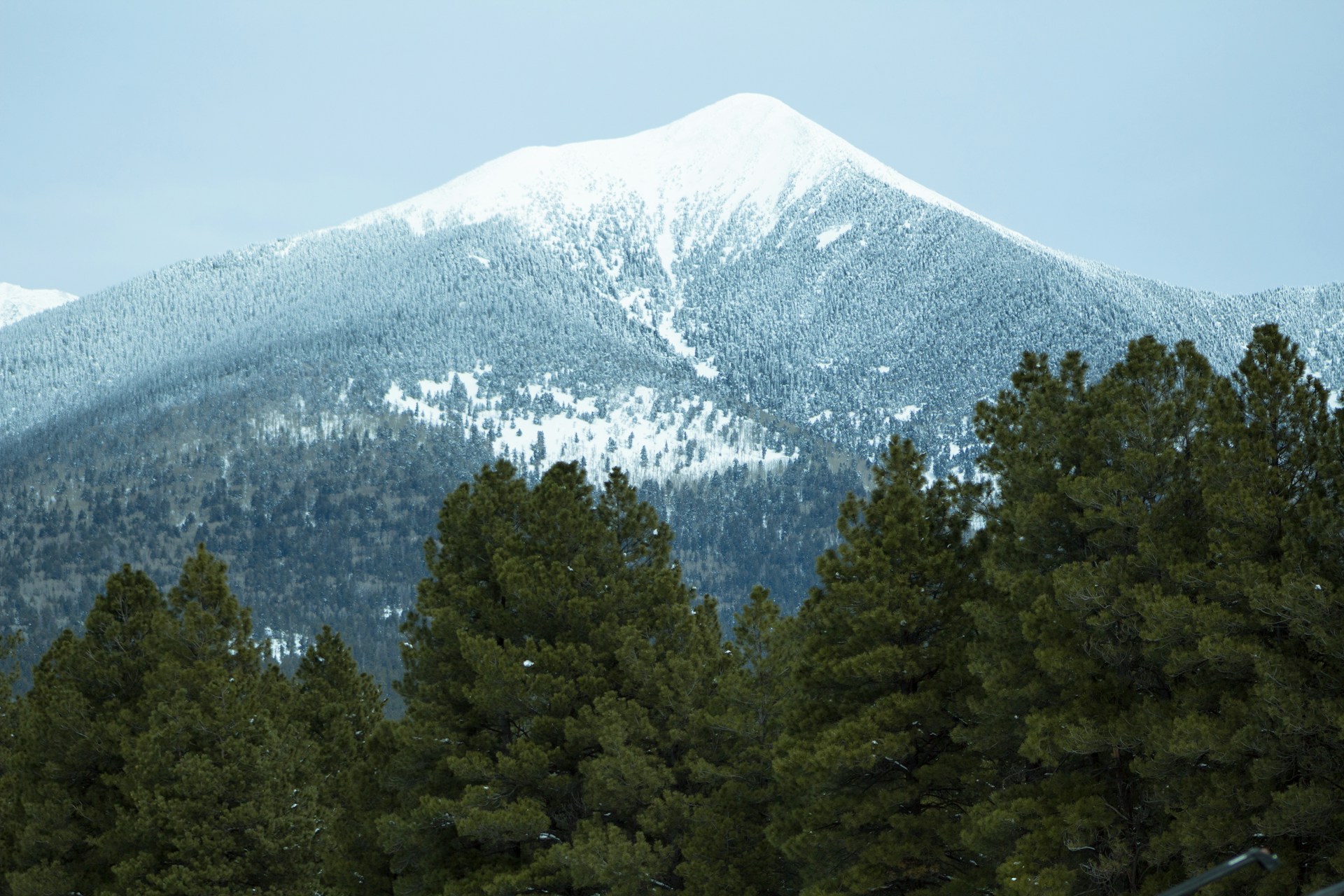 A mountain top in Flagstaff, Arizona