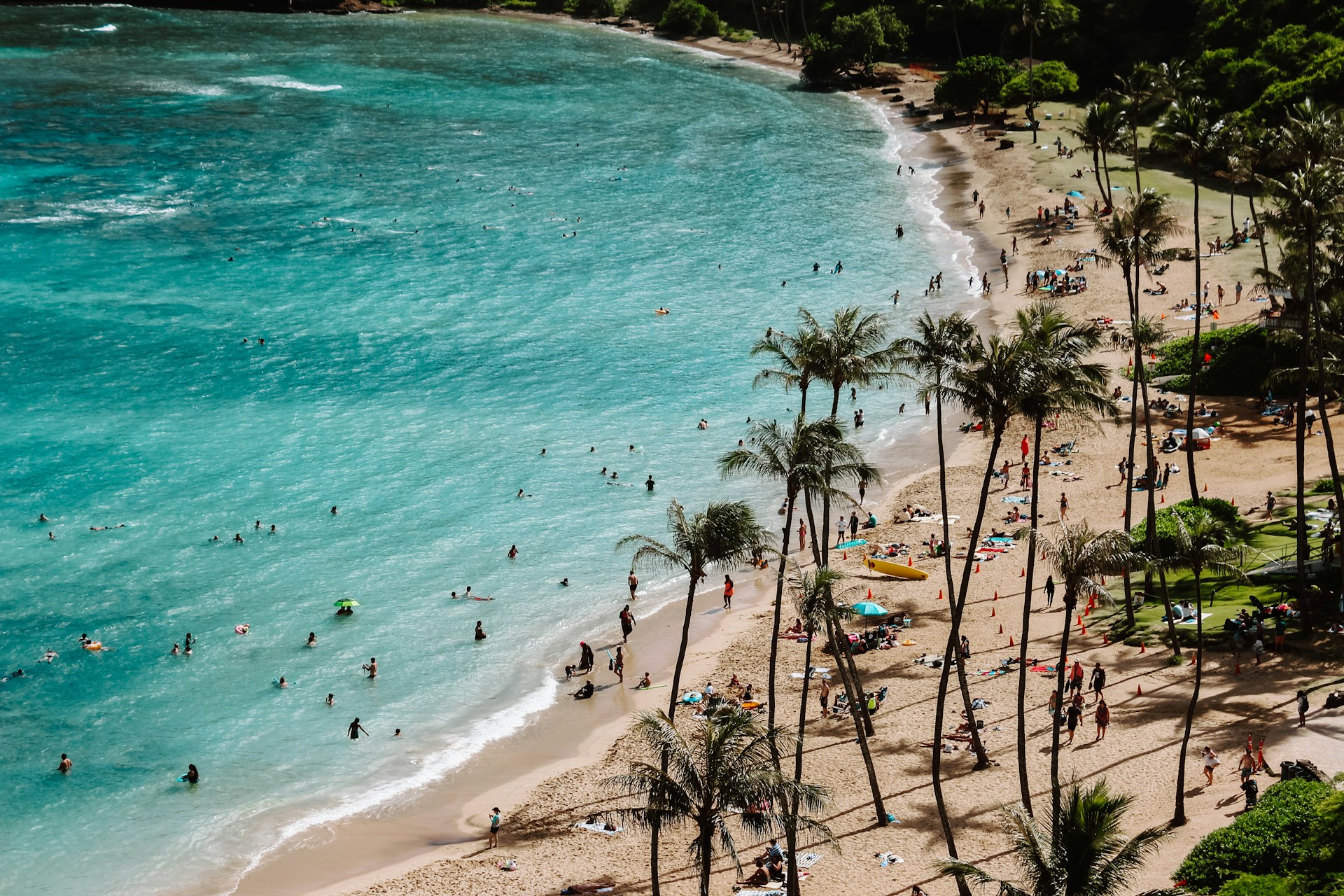 A beach in Honolulu