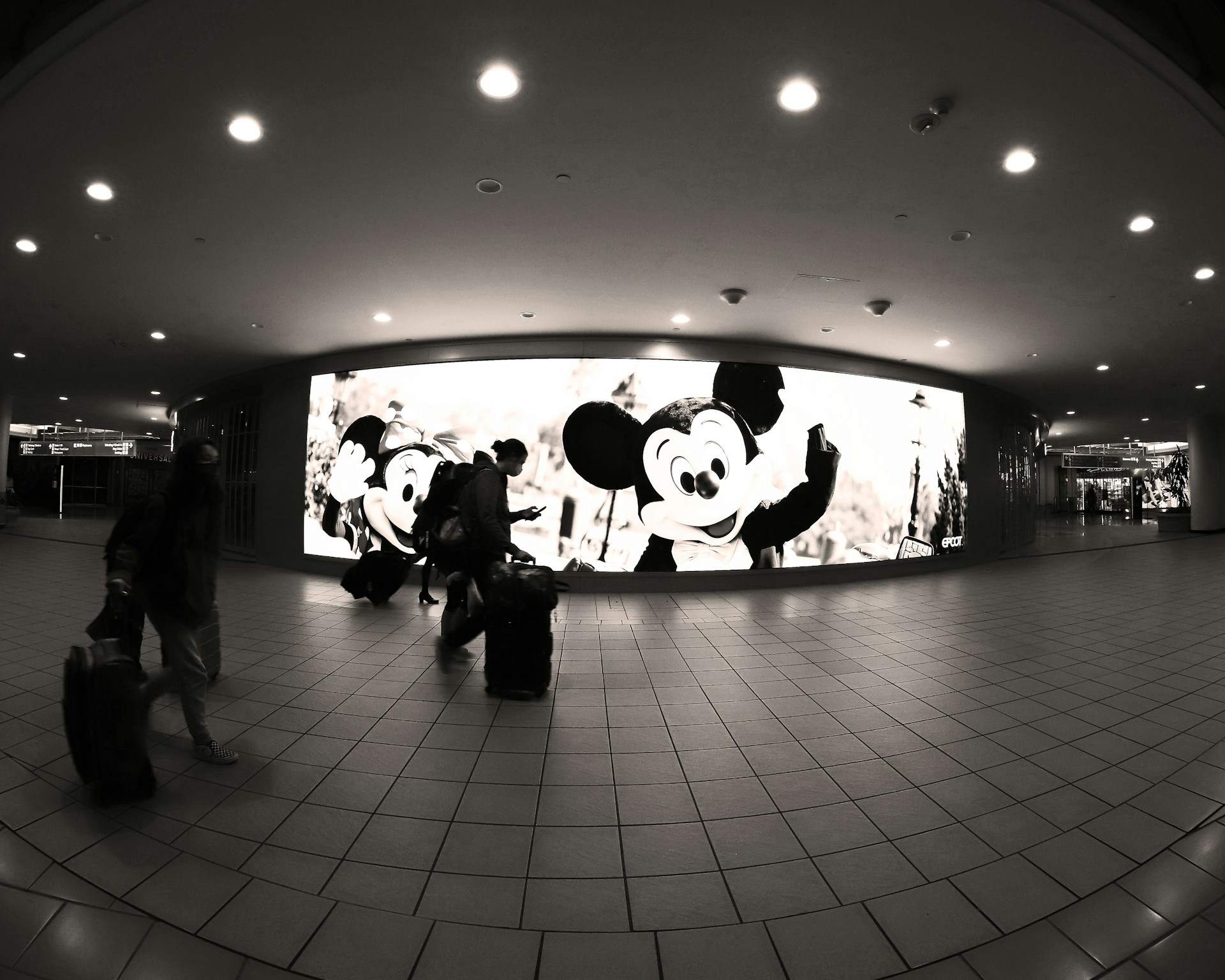 Orlando International Airport Guide (MCO)