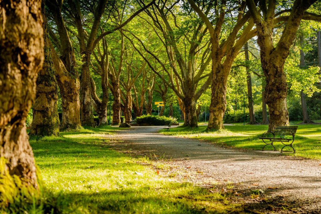 Photo of empty park during daytime