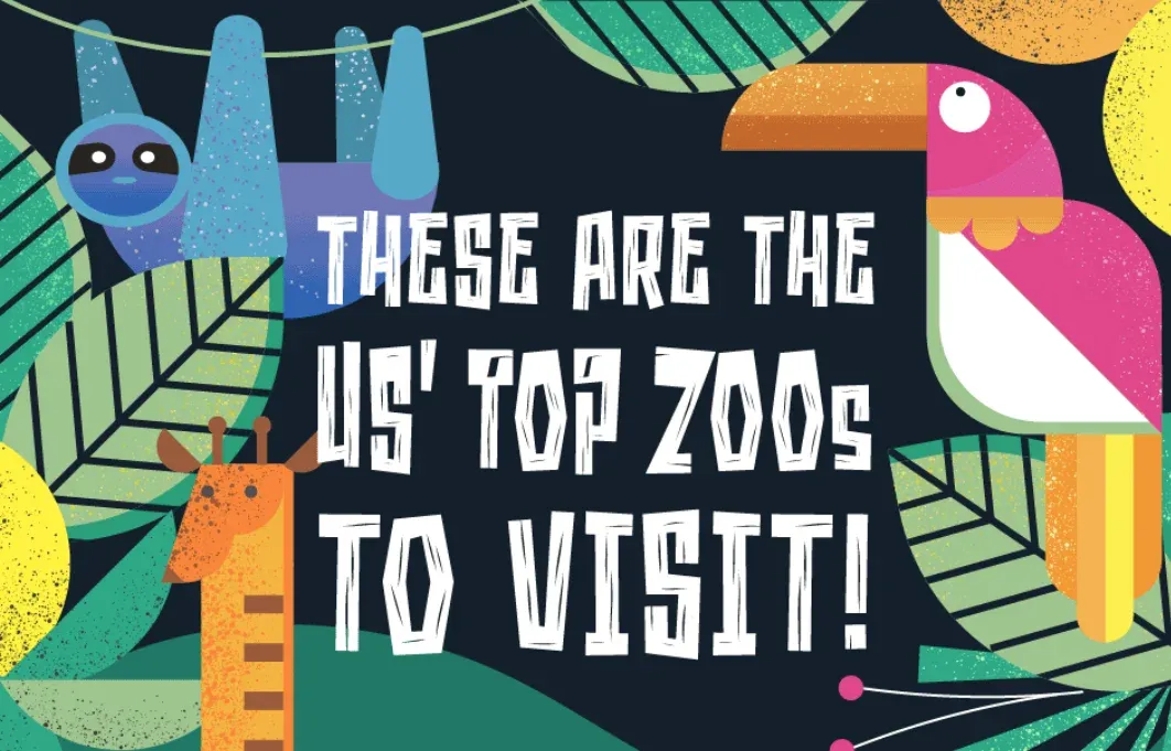These are the US top zoos to visit