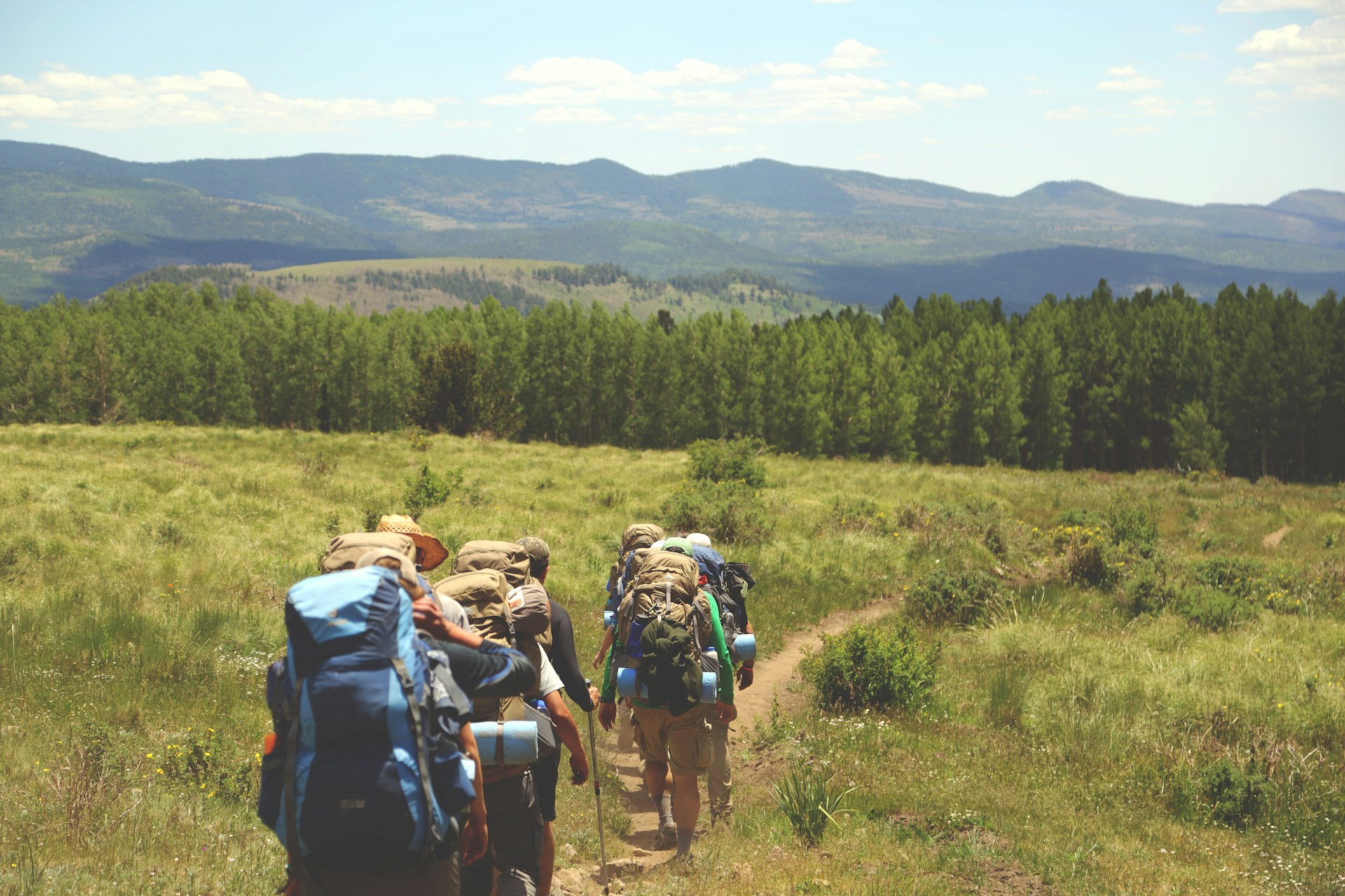 A group of people walking through a field